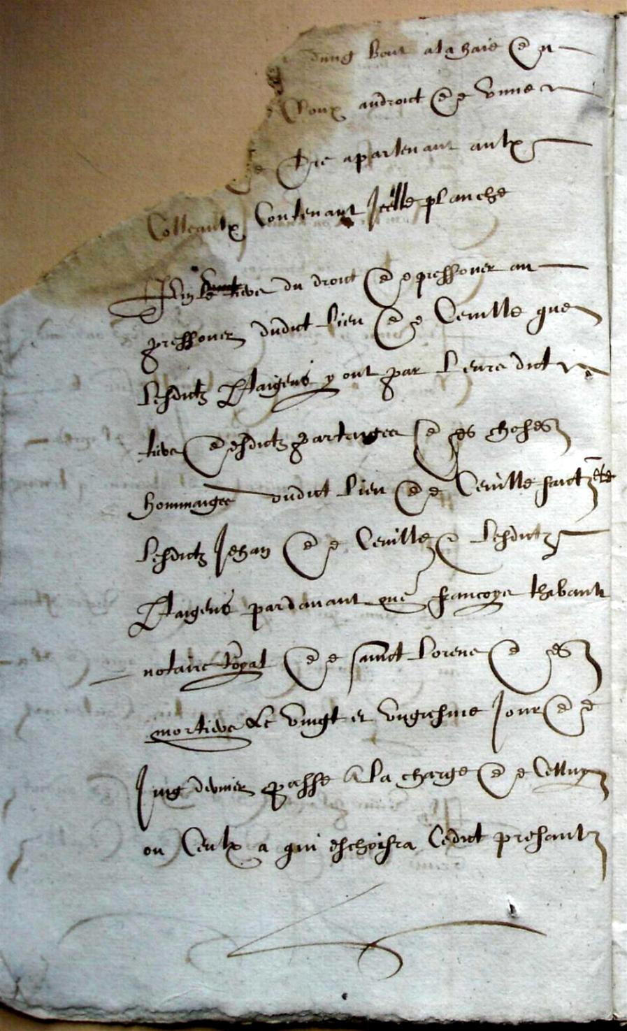 Ceville-Mathurin-partages_1603 (10).JPG